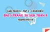 Bài 5 trang 36 Toán 8 Tập 2 Chân trời sáng tạo Bài 5 trang 36 Toán 8 Tập 2 Chân trời sáng tạo
